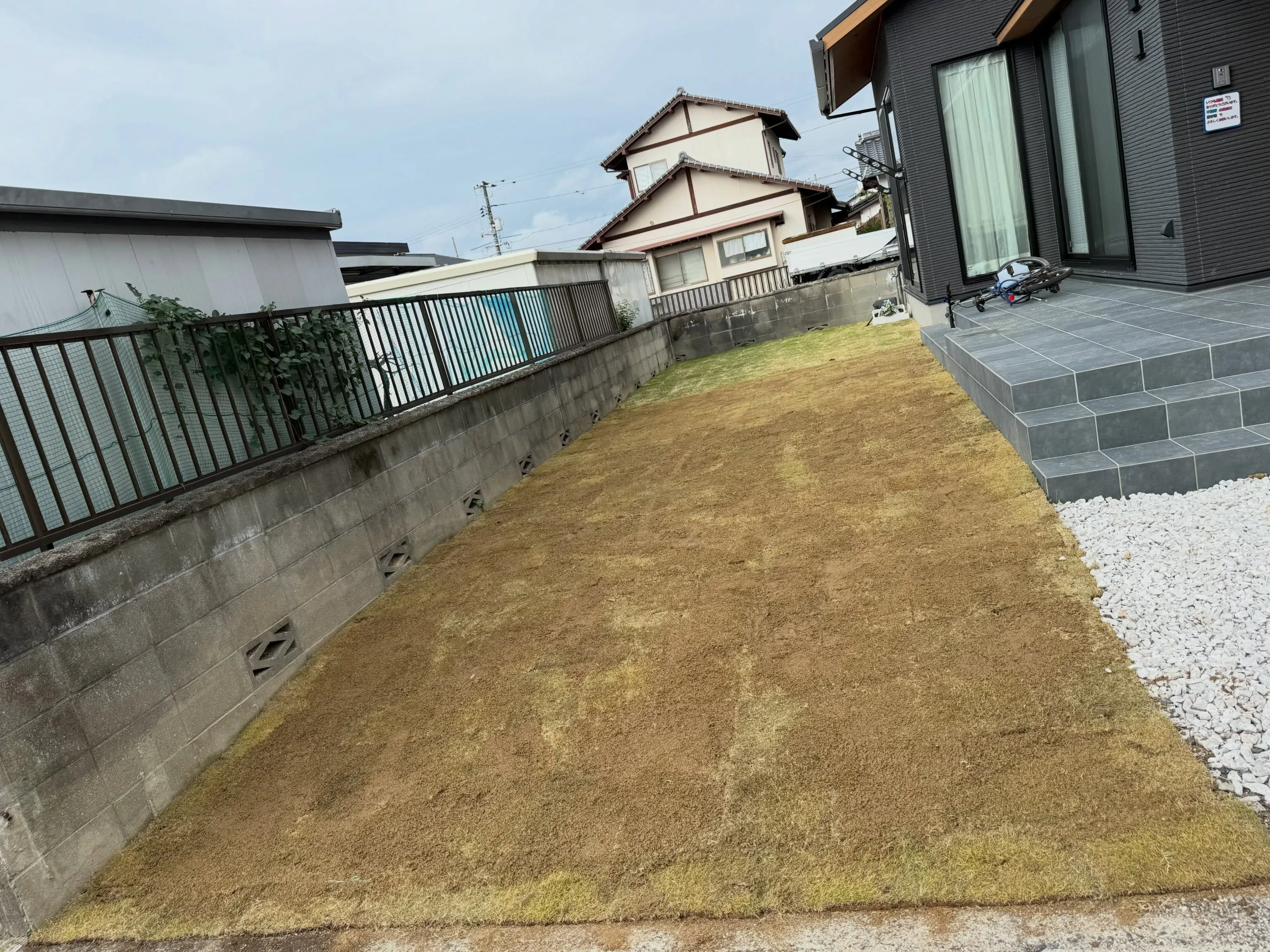 #芝生 #土木