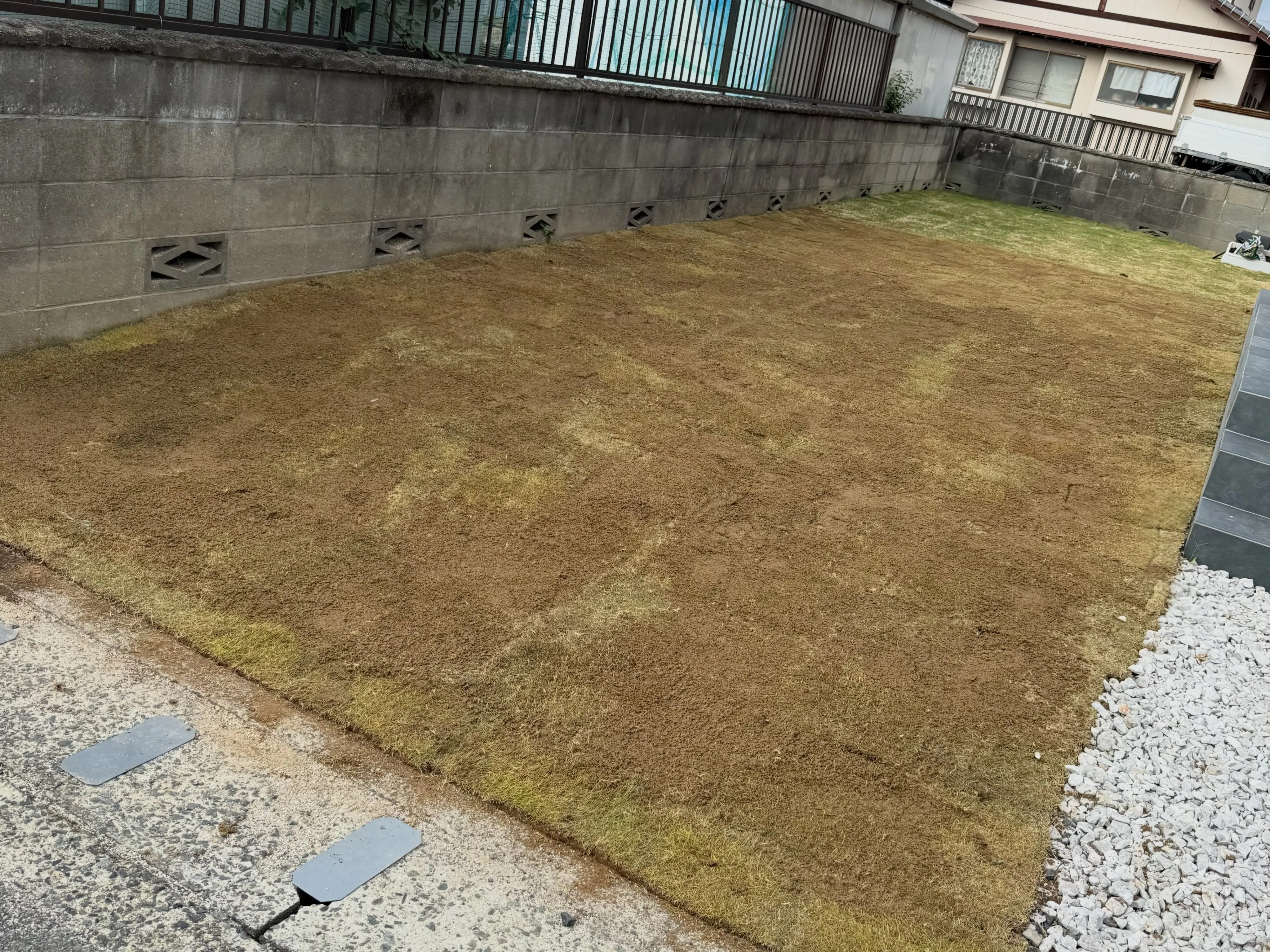 #芝生 #土木